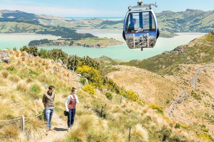 Combinación de recorrido por la ciudad de Christchurch en góndola y tranvía