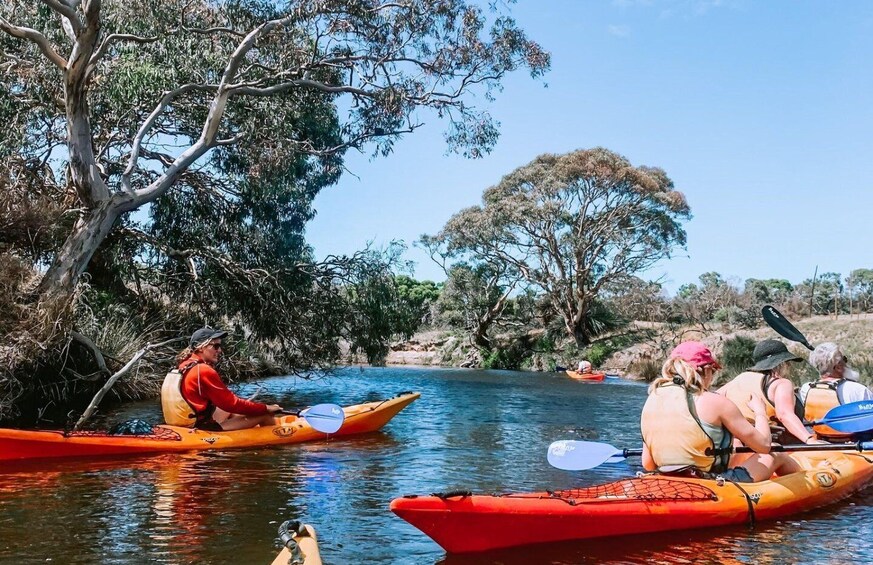 kayak tours kangaroo island