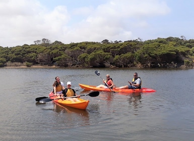 Kangaroo Island: Guided Kayak Tour on Harriet River