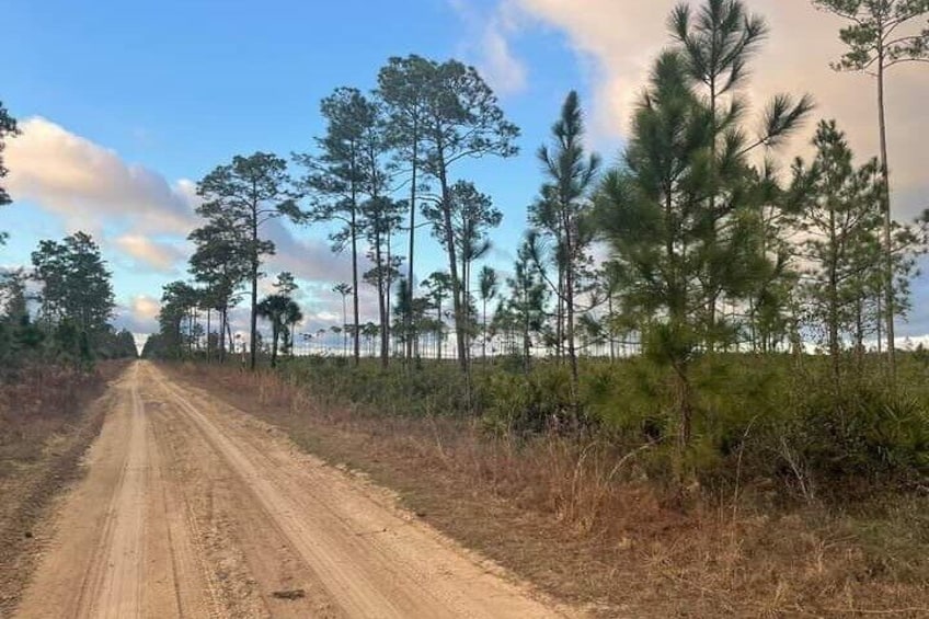 The dirt backroad and trail. 