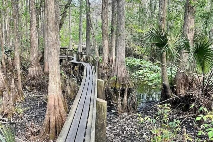 Wetland Crossing. 