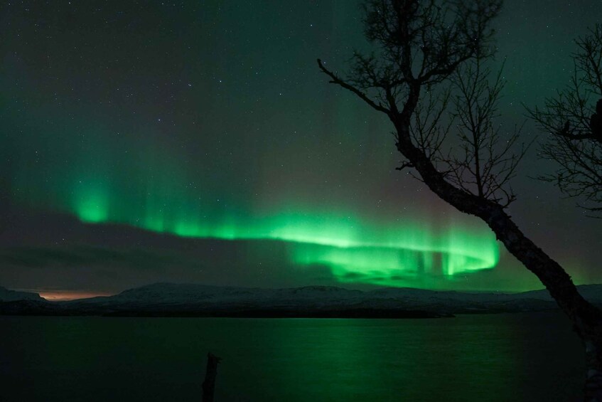 Picture 4 for Activity Kiruna: Northern Lights Tour with Dinner in Abisko