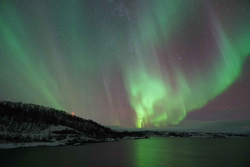 Kiruna: Northern Lights Tour with Dinner in Abisko