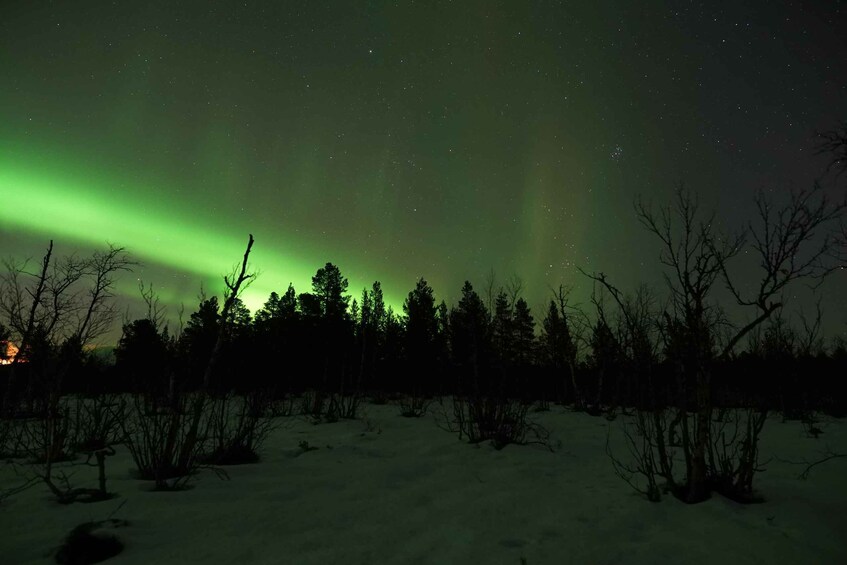 Picture 2 for Activity Kiruna: Northern Lights Tour with Dinner in Abisko