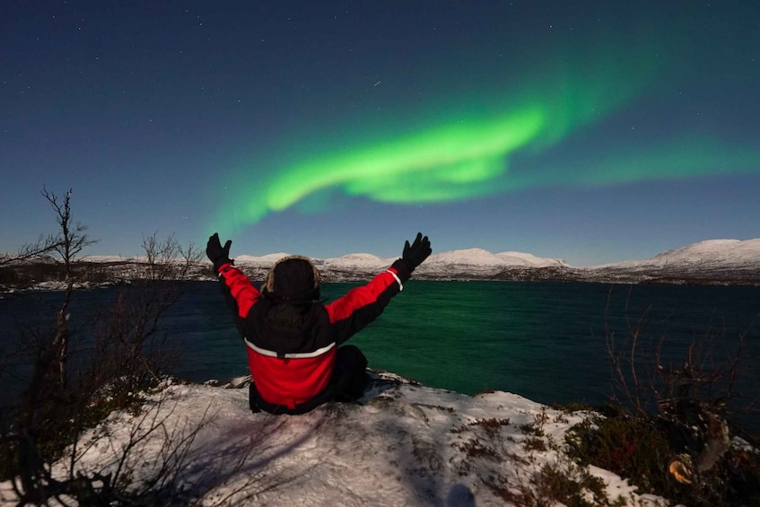 Picture 1 for Activity Kiruna: Northern Lights Tour with Dinner in Abisko