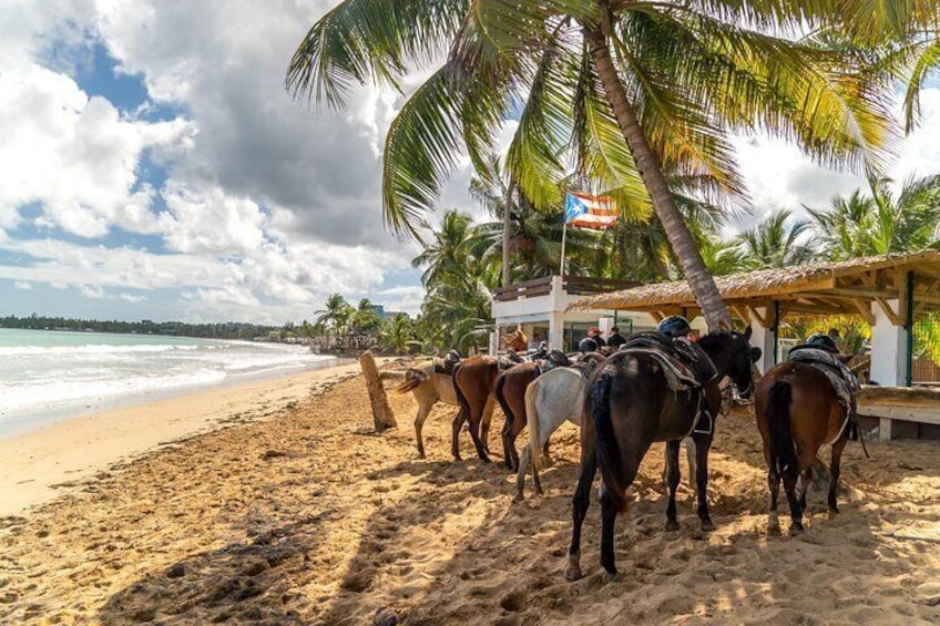 Stop at the Tropical Bar