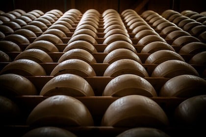 Parmigiano and Culatello Private Tour with Lunch and Farm Visit