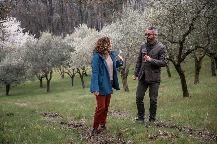 Visit to an organic winery followed by wine tasting | Artemilia Guided Tours