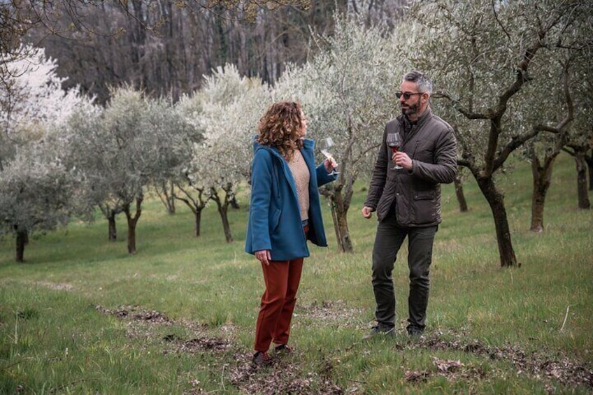 Visit to an organic winery followed by wine tasting | Artemilia Guided Tours