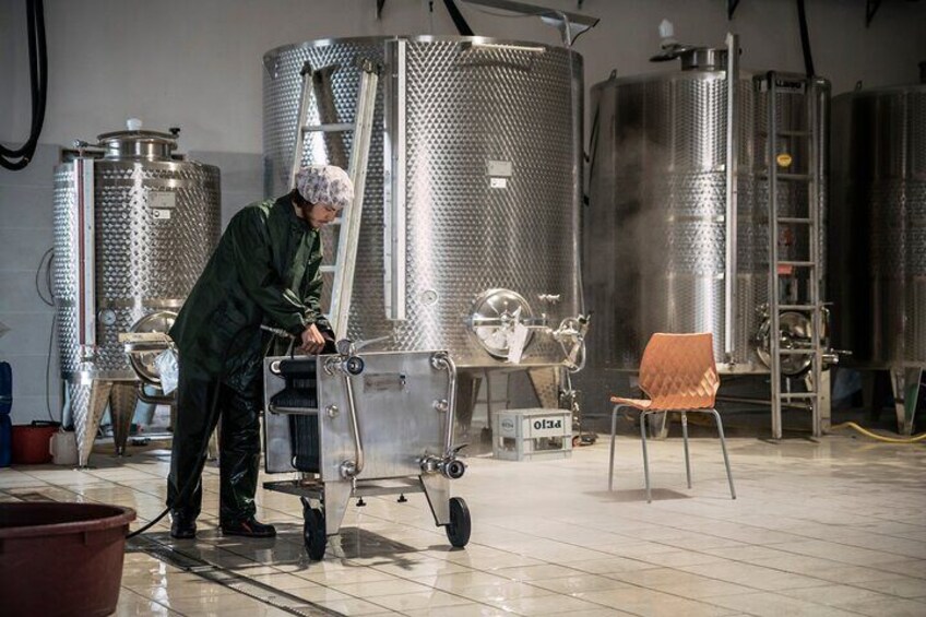 Organic wines production in the lands of Matilda | Artemilia Guided Tours