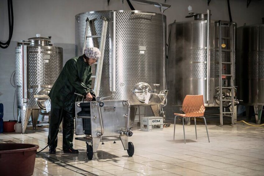 Organic wines production in the lands of Matilda | Artemilia Guided Tours