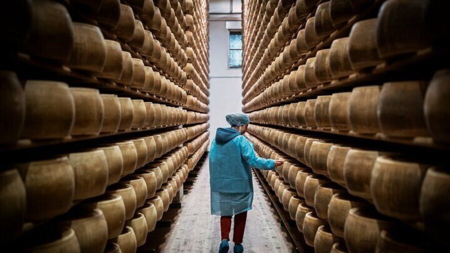 Private Parmigiano Balsamic Parma Ham and Wine Tasting Tour