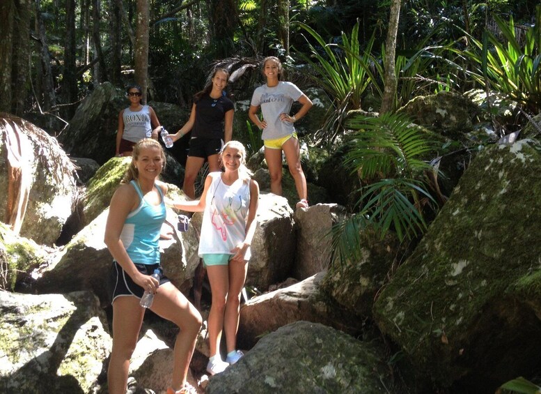 Picture 11 for Activity Byron Bay Hinterland: National Park and Waterfalls Tour