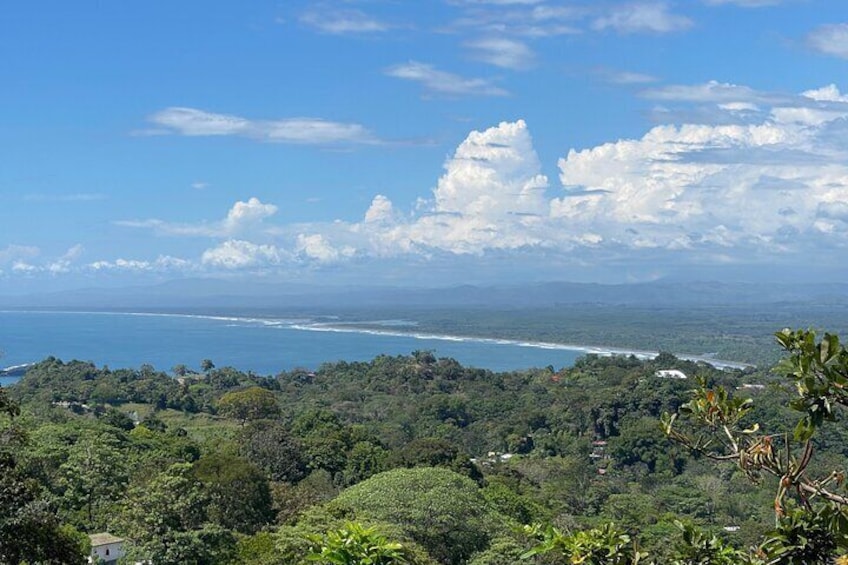 View over the jungle of Manuel Antonio