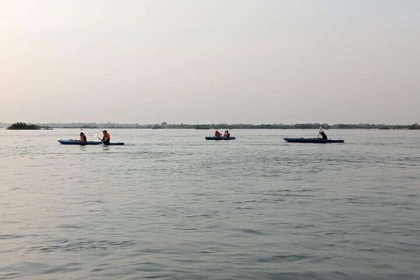 Half Day Dolphin Tour in Mekong