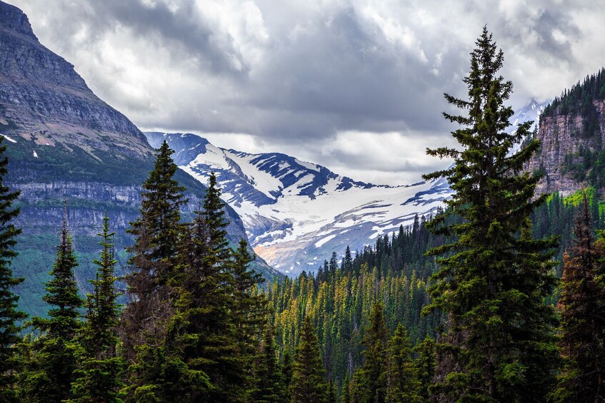 Glacier National Park Self-Guided Driving Audio Tour