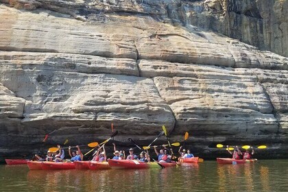 Visite guidée en kayak près de Chicago