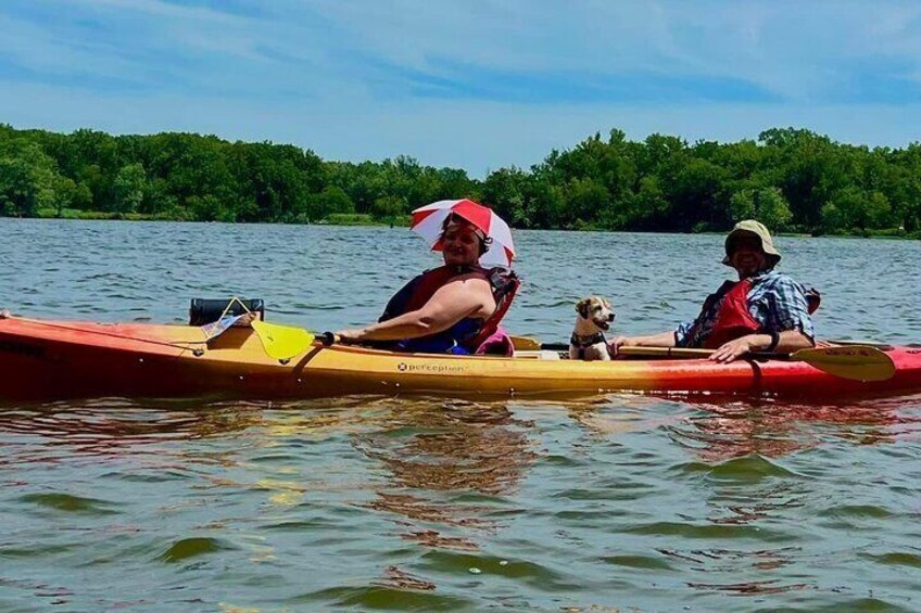 Single Guided Kayaking Tour near Chicago