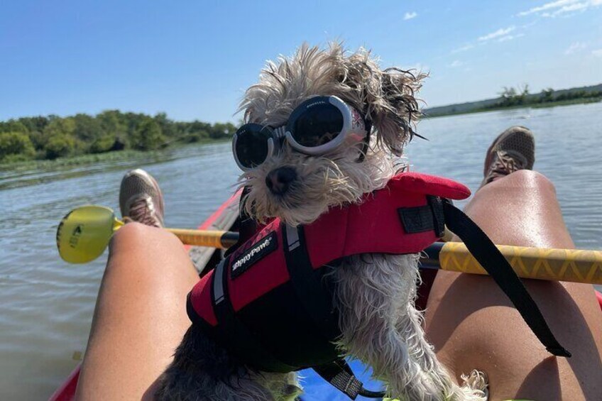 Single Guided Kayaking Tour near Chicago