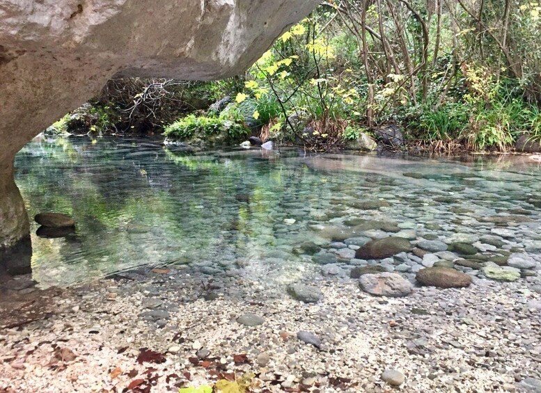 Picture 1 for Activity Ferla: Pantalica Nature Reserve UNESCO Tour with Swim Stop