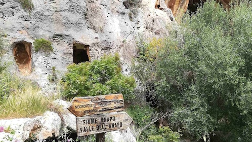 ��费拉：潘塔利卡自然保护区联合国教科文组织之旅，带游泳站