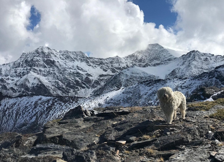 Picture 6 for Activity Sierra Nevada: Hike to 3000 Meters( Escape the city heat )