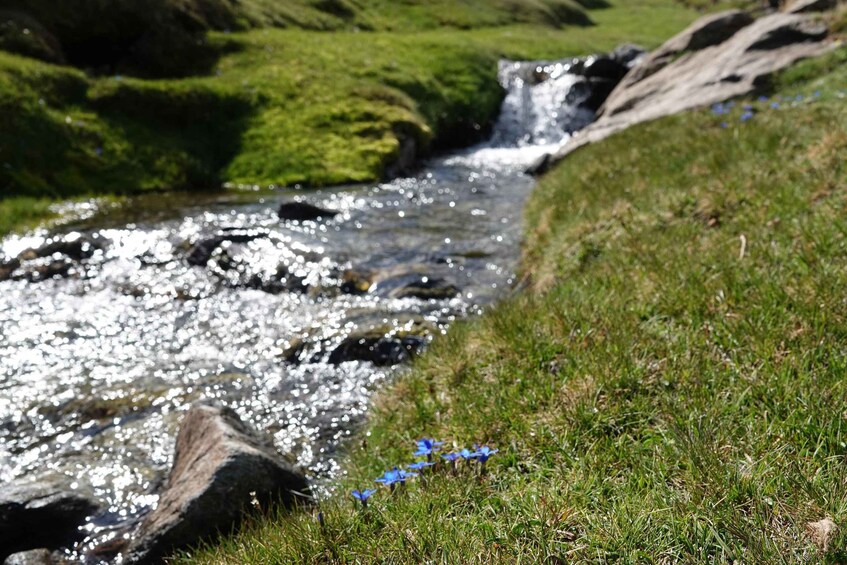 Picture 3 for Activity Granada: High Sierra Nevada Hiking Tour to 3000 Meters