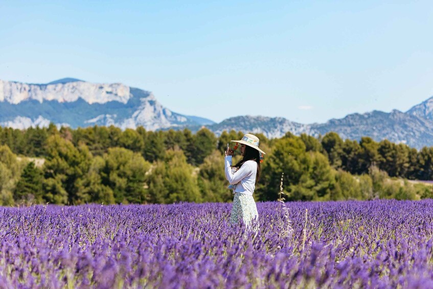 Picture 16 for Activity Nice: Gorges of Verdon and Fields of Lavender Tour