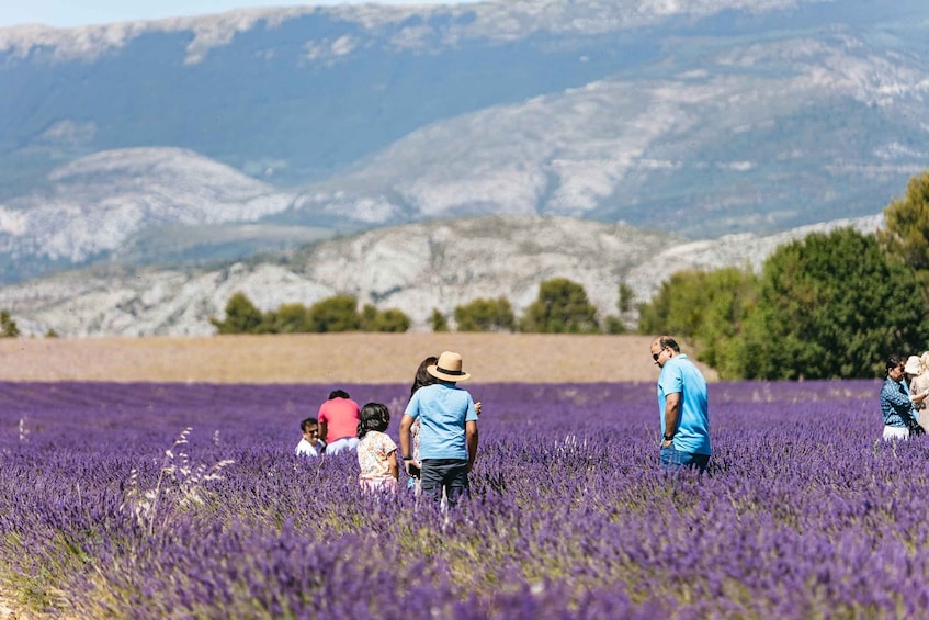 Picture 15 for Activity Nice: Gorges of Verdon and Fields of Lavender Tour