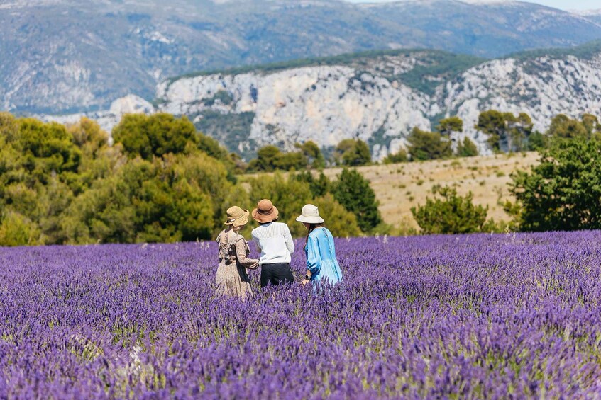 Picture 1 for Activity Nice: Gorges of Verdon and Fields of Lavender Tour