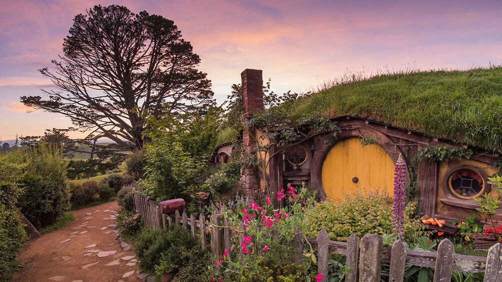 Picture 8 for Activity Auckland: Hobbiton Movie Set and Waitomo Small Group Tour