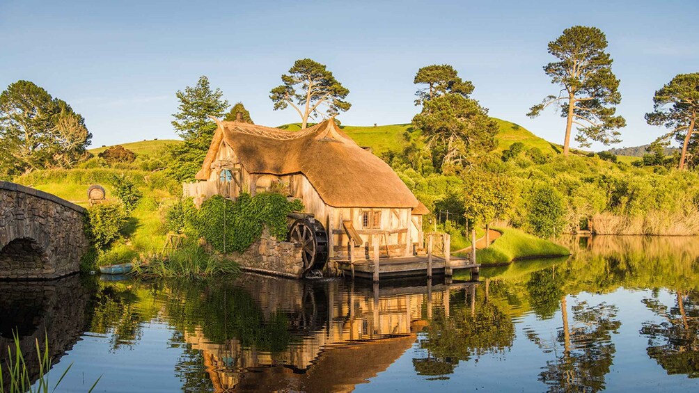 Picture 7 for Activity Auckland: Hobbiton Movie Set and Waitomo Small Group Tour