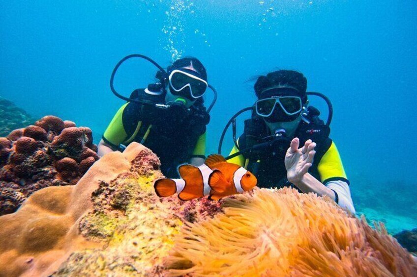 Small Group Scuba Diving Experience in Maiton Private Island