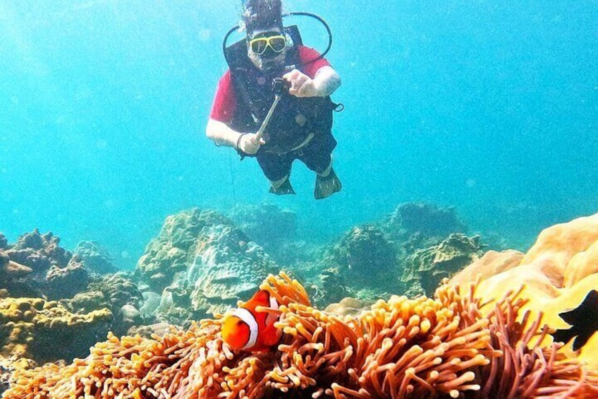 Small Group Scuba Diving Experience in Maiton Private Island