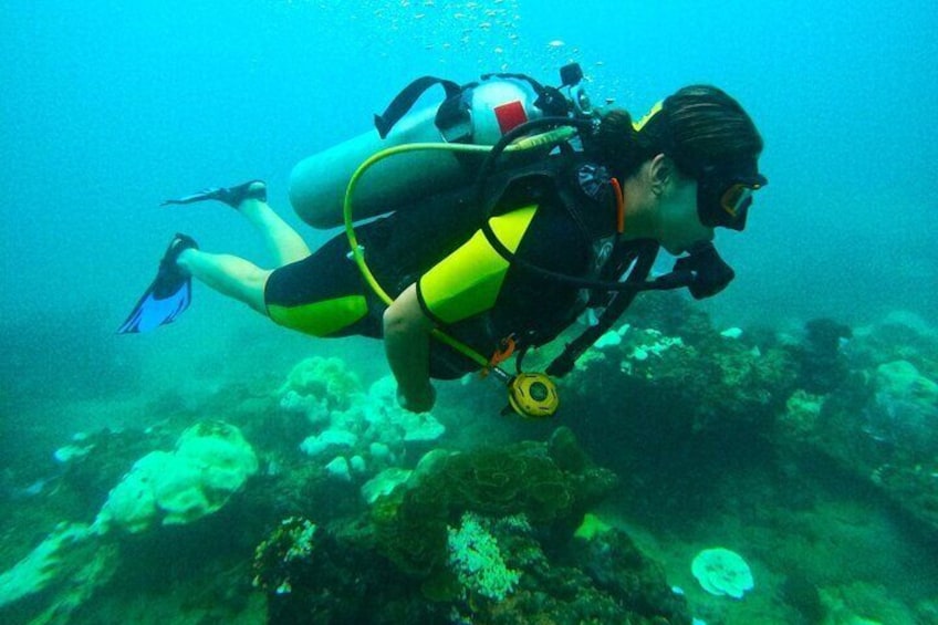 Small Group Scuba Diving Experience in Maiton Private Island