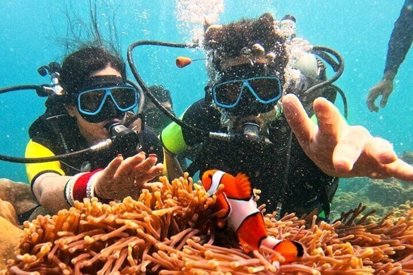 Small Group Scuba Diving Experience in Maiton Private Island