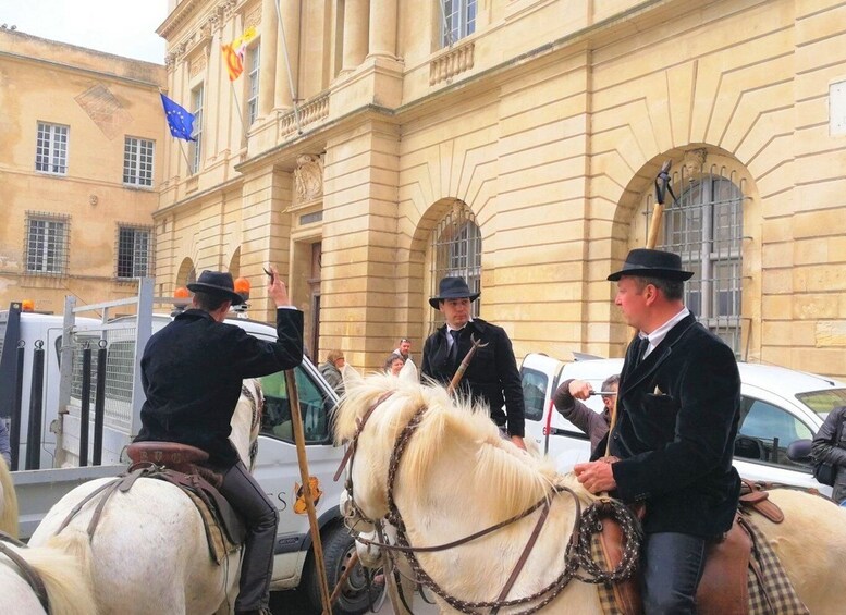 Picture 4 for Activity Marseille: The Camargue 8-Hour Guided Outing