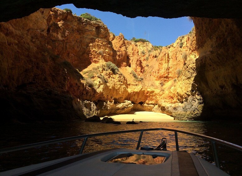 Picture 10 for Activity Portimão: Private Benagil Cave Boating Tour