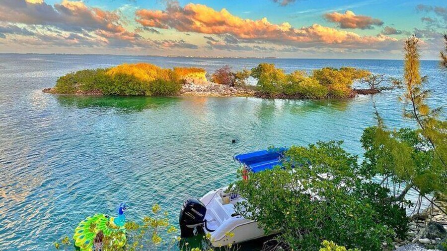 Sandbar Snorkel in the backcountry of Key West
