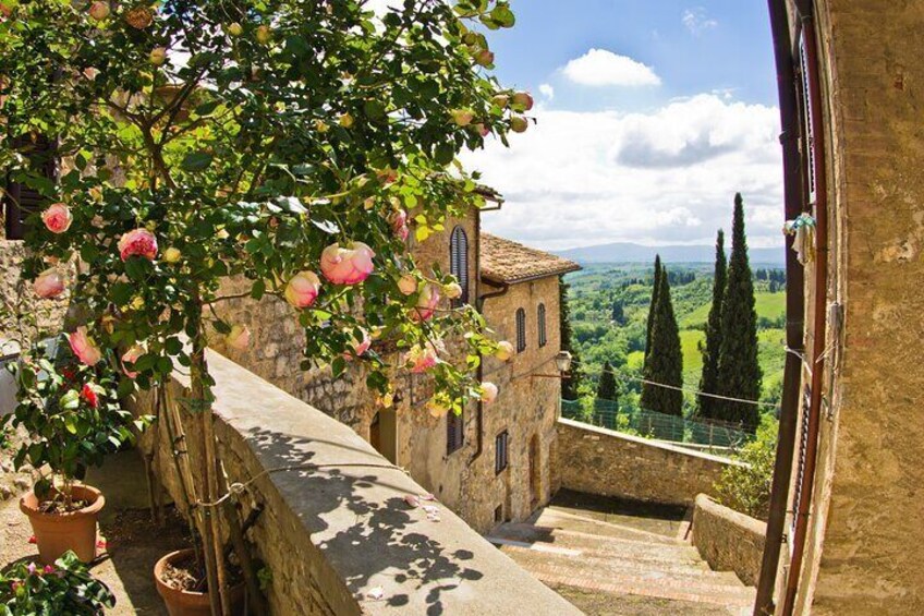 Tuscany Highlights and Wine Private Car Tour from Florence 