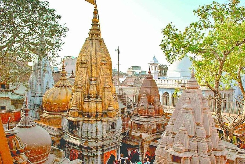 Picture 6 for Activity From Varanasi: Temple Hopping on a tuk-tuk