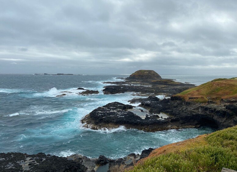 Picture 6 for Activity Melbourne: Phillip Island Tour & Penguin Parade