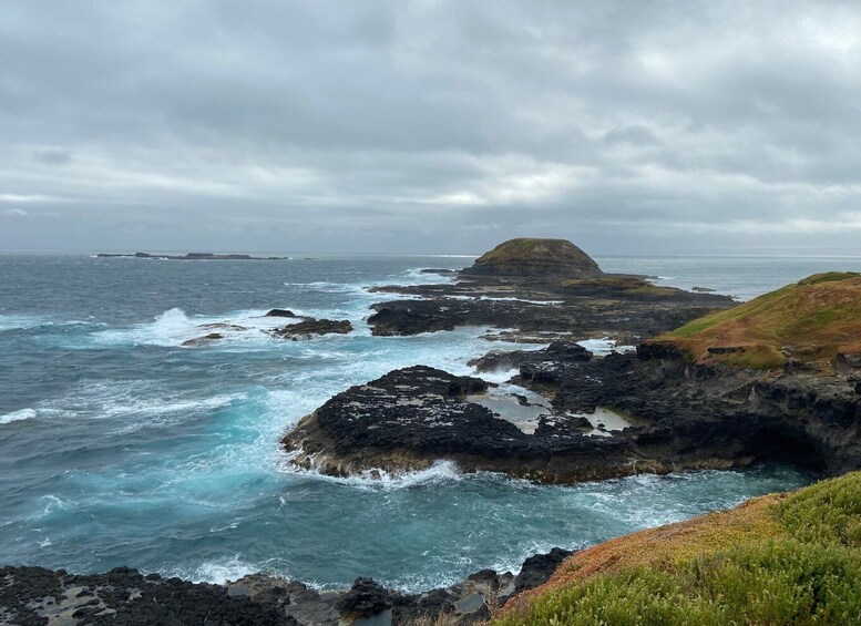 Picture 6 for Activity Melbourne: Phillip Island Tour & Penguin Parade