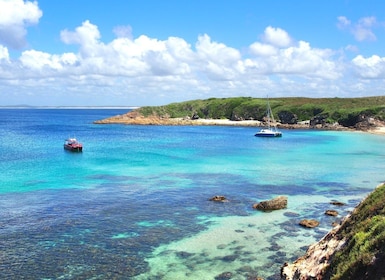 Nelson Bay: Port Stephens Island Snorkel Adventure Cruise
