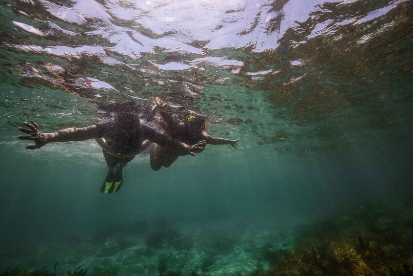 Picture 2 for Activity Nelson Bay: Port Stephens Island Snorkel Adventure Cruise