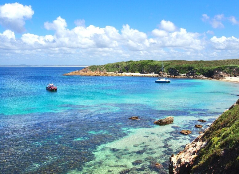 Nelson Bay: Port Stephens Island Snorkel Adventure Cruise