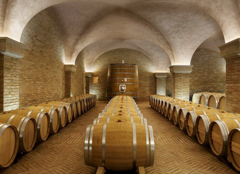 Picture 2 for Activity Val D'Orcia: Boutique Winery Tour and Wine Tasting