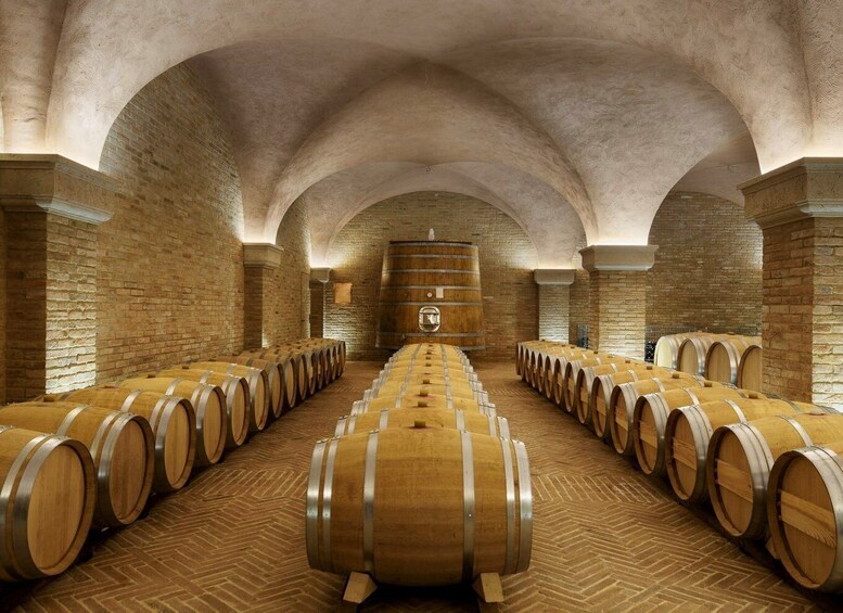 Picture 2 for Activity Val D'Orcia: Boutique Winery Tour and Wine Tasting