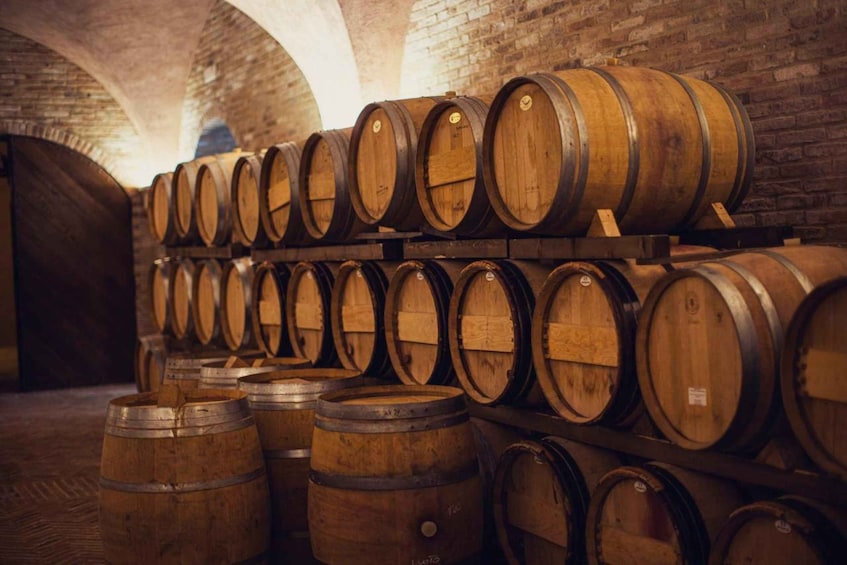Picture 8 for Activity Val D'Orcia: Boutique Winery Tour and Wine Tasting