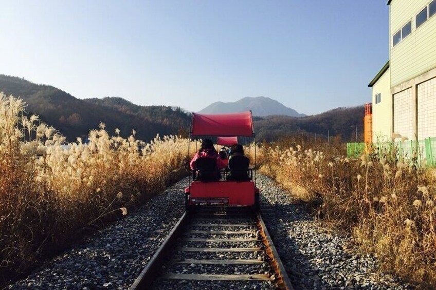 LEGOLAND with Gangchon Railbike One-day Tour from Seoul